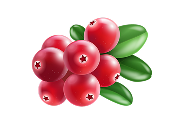 Fruits