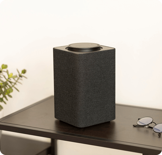 Speaker